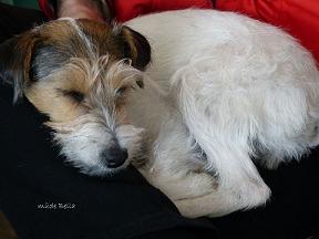 1609730_1485605105001688_480554304_n 1609730_1485605105001688_480554304_n