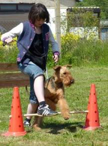 11114010_972632782770191_1074701104330112058_n