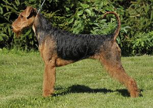 September2010 September2010