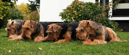 967039_182927391896694_1435914933_o-korr jetzt