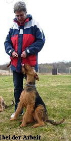 a_1939949_1485576865004512_94929673_n1