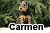 carmen_1_1