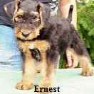 Ernest-stand-korr-poc